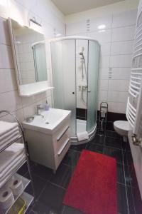 Kúpeľňa v ubytovaní Azúr Ház Gyöngyvirág Apartman