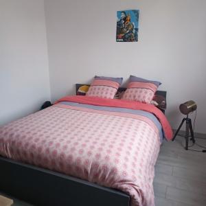 sypialnia z łóżkiem z różową kołdrą i poduszkami w obiekcie Maison pour location de chambre circuit 24H et GP w mieście Aigné