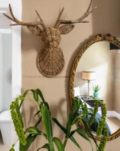 un espejo y una planta en una habitación con una planta en The Belmont en Franschhoek