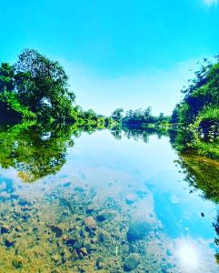 Imagen de la galería de Chalé Envidraçado Recanto Verde dos Canyons, en Praia Grande