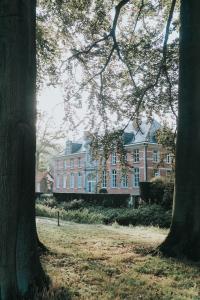 a large brick house with a tree in front of it at Bleyckhof in een uniek natuurgebied in Ranst