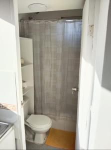 a bathroom with a toilet and a shower at La Casa Blanca Departamento 1 piscina temperada in Coquimbo