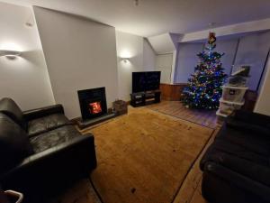 a living room with a christmas tree and a couch at Huge 7 bed hse for large groups close by the beach in Bude
