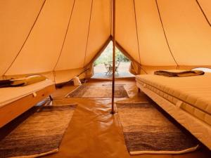 Posedenie v ubytovaní CAMPING LE BEL AIR tente insolite Sibley's 4 personnes-LE ROMARIN
