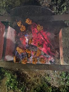 a grill with a bunch of butterflies on it at Byrahalli Bliss riverside camping in Sakleshpur