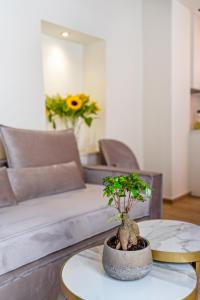 A seating area at Casa Del Balsamo