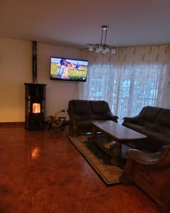 Vulcan的住宿－Casa de pe vale，带沙发、电视和桌子的客厅