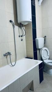 a bathroom with a bath tub and a toilet at Majdini Clock Tower Apartman in Podgorica