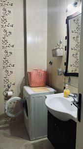 y baño con lavadora y lavamanos. en Majdini Clock Tower Apartman, en Podgorica