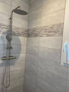 łazienka z prysznicem z głowicą prysznicową w obiekcie Le Mas No'Stelou w mieście Pierrelongue