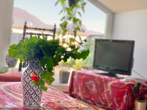 a vase with a plant on a table with a tv at Zorab&b in Breganzona