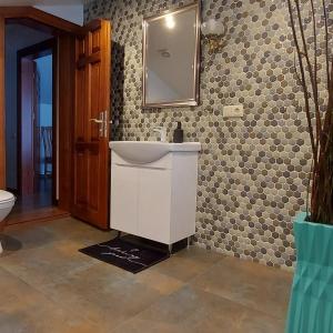 baño con lavabo y espejo en la pared en Lauviņu rezidence, en Kocēni