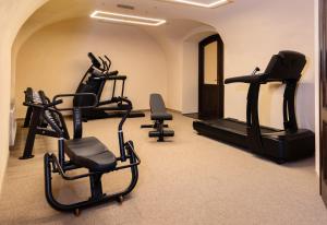 a gym with treadmills and exercise bikes in a room at Boutique Hotel Gaia in Kecskemét