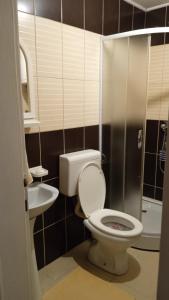 een badkamer met een toilet en een wastafel bij Apartman Mira in Požarevac