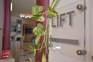 a door with a plant growing out of it at Horizon Beach Hotel in Plakias