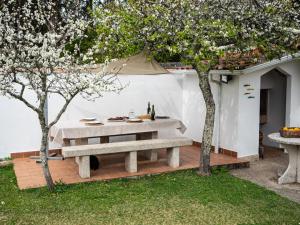 a picnic table in a backyard with trees at Casa Ramos in Vigo