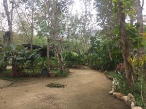 トランにあるBaansuan Suksangob Farm Stayの樹木や植物が茂る森の未舗装道路