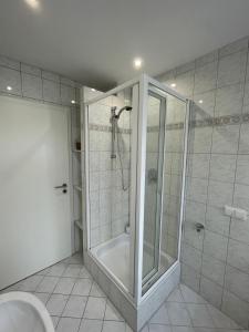 een badkamer met een douche en een wastafel bij Haus Wiesenblick in Thurmansbang