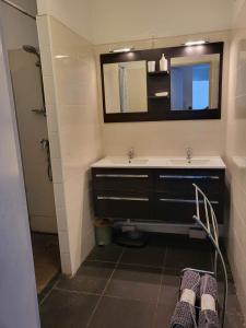 ein Bad mit einem Waschbecken und einem Spiegel in der Unterkunft Cap Au Soleil in Saint-Pierre