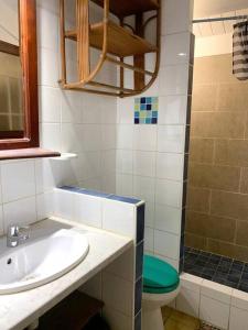 uma casa de banho com um lavatório, um WC e um chuveiro em Appartement entier: chambre, cuisine + terrasse au calme sur jardin. em Marigot