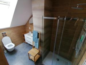 a bathroom with a toilet and a glass shower at Dwie Owce in Istebna