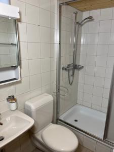 a bathroom with a shower and a toilet and a sink at Appartement Seelewärmerli - Balsam für Ihre Seele in Seelisberg