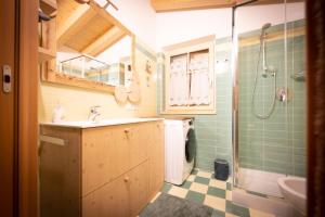 a bathroom with a sink and a shower at Cesa Antermoia in Mazzin