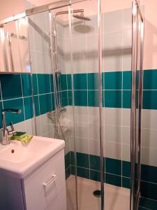 un bagno con doccia e lavandino di La casa di Agata a Guardistallo