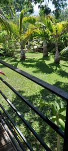 a view of a park with palm trees and grass at KAZ A NINE in Saint-Pierre