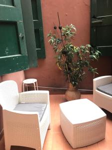 a group of chairs and a vase with a plant at Casa Gioia Centro Storico in Bologna