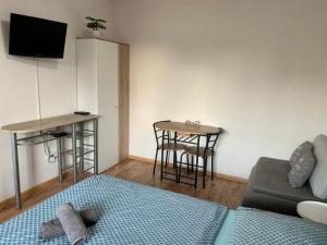 TV a/nebo společenská místnost v ubytování Apartmány ZELENÝ DOM