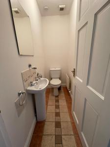 a bathroom with a white toilet and a sink at Santry Studio in Dublin