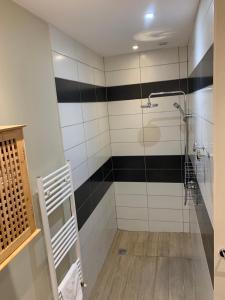 Łazienka z prysznicem wyłożona jest czarno-białymi kafelkami. w obiekcie Charmant appartement jardin/parking privé 4 personnes w mieście Bourboule +10 zdjęć