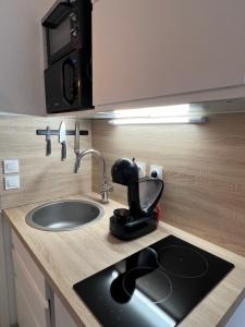 eine Küchentheke mit einer Spüle und einem Mixer in der Unterkunft Studio Nice port in Nizza
