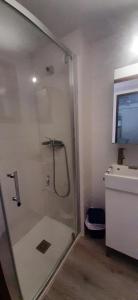 uma casa de banho com um chuveiro e um lavatório. em Appartement 4 personnes Porté Puymorens em Porté-Puymorens