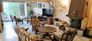 un salon avec un canapé et une cheminée dans l'établissement Agroturystyka Pod Lipa, à Boreczno