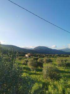 una vista de un campo con montañas en el fondo en Casa vacanze L'ulivo Burgio, en Burgio