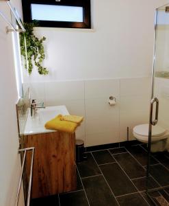 ein Bad mit einem Waschbecken und einem WC in der Unterkunft De Sprokkel in Milsbeek