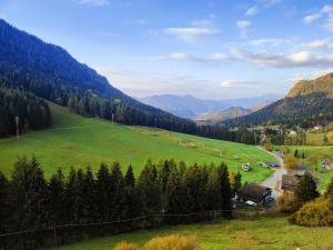 a green field with trees and mountains in the background at Happy Guest Apartments - Pink Mountain Presolana in Castione della Presolana