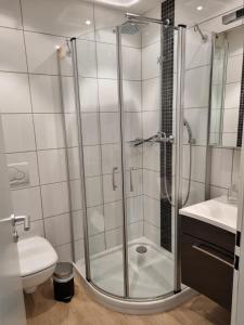 a bathroom with a shower with a toilet and a sink at Wohnung Nr. 1 Willingen in Willingen