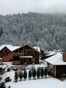 a house covered in snow with a mountain in the background at Сімейний котедж У Діани in Tatariv