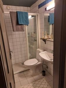 bagno con servizi igienici e lavandino di Nydelig utsikt, hotell-følelse a Beitostøl
