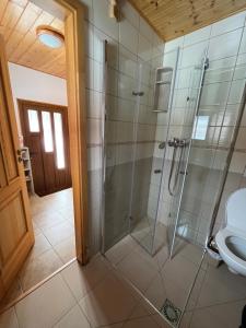 bagno con doccia e servizi igienici. di Ubytování u hrádečku a Prostřední Bečva