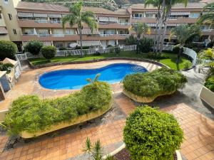 Neue Terrassenwohnung mit Pool Puerto de la Cruz 부지 내 또는 인근 수영장 전경