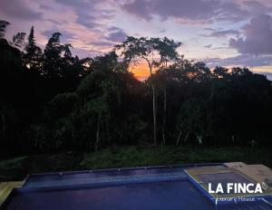 アナポイマにあるLa finca Luxury Houseの木々の前のスイミングプールに沈む夕日