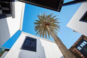 uma palmeira em frente a um edifício branco em Casita Palmera, Country Home, Haria, Lanzarote em Haría