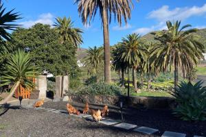 Vonkajšia záhrada v ubytovaní Casita Palmera, Country Home, Haria, Lanzarote