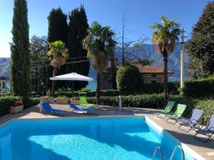 une piscine avec des chaises et des palmiers ainsi qu'une maison dans l'établissement Residence Belvedere Apartment Bolvedro, à Tremezzo