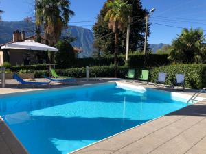 a blue swimming pool with chairs and palm trees at Residence Belvedere Apartment Bolvedro in Tremezzo