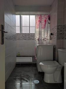 24 D-Habitacion en piso في سان فيسينتي ديل راسبيغ: حمام مع مرحاض وحوض استحمام